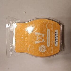 Pumpkin Cashmere Scentsy Bar